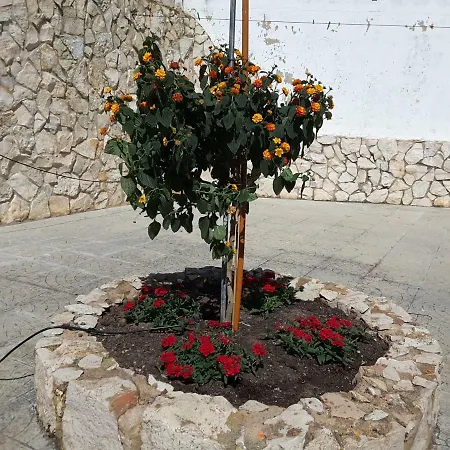 Casa Da Bela Vista Villa